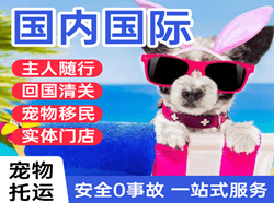 邵阳武冈航空运输国际宠物托运 【国
